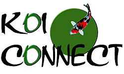 La gazette de Koiconnect